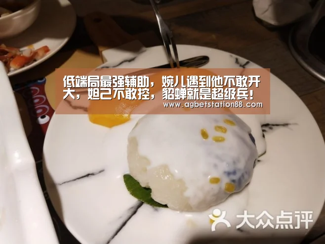 低端局最强辅助,婉儿遇到他不敢开大,妲己不敢控,貂蝉就是超级兵!‘AG官网’(图4) AG棋牌