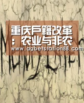 重庆户籍改革:农业与非农户口统一为居民户口:AG官网(图3) AG棋牌