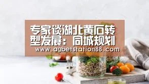 专家谈湖北黄石转型发展:同城规划 共同守望:AG官网(图1) AG官网