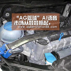 “AG篮球”AI语音市场从娃娃抓起,市场潜力浮出蓝海(图2) AG棋牌
