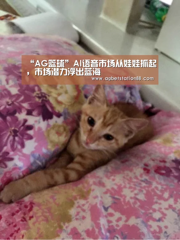 “AG篮球”AI语音市场从娃娃抓起,市场潜力浮出蓝海(图3) AG棋牌