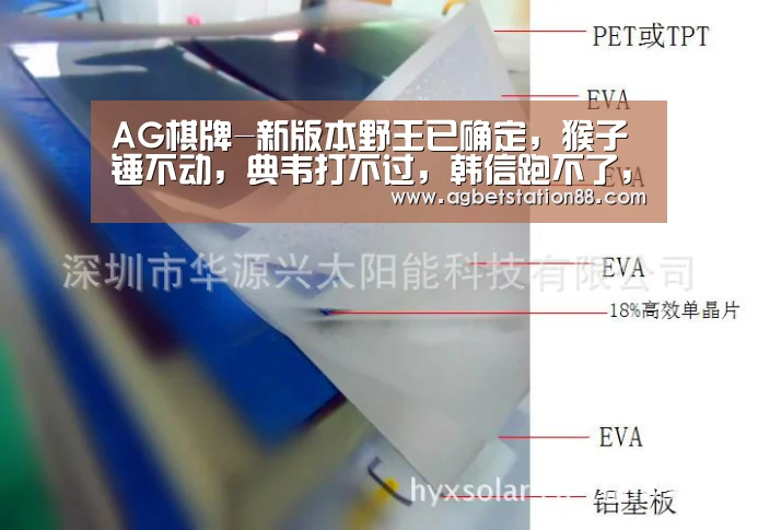 AG棋牌-新版本野王已确定,猴子锤不动,典韦打不过,韩信跑不了,冷门的他终于崛起(图2) AG棋牌